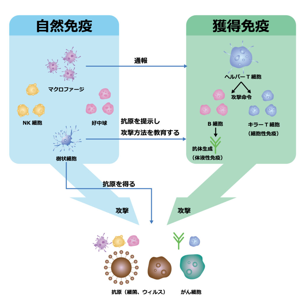 ステロイド治療の辛さ